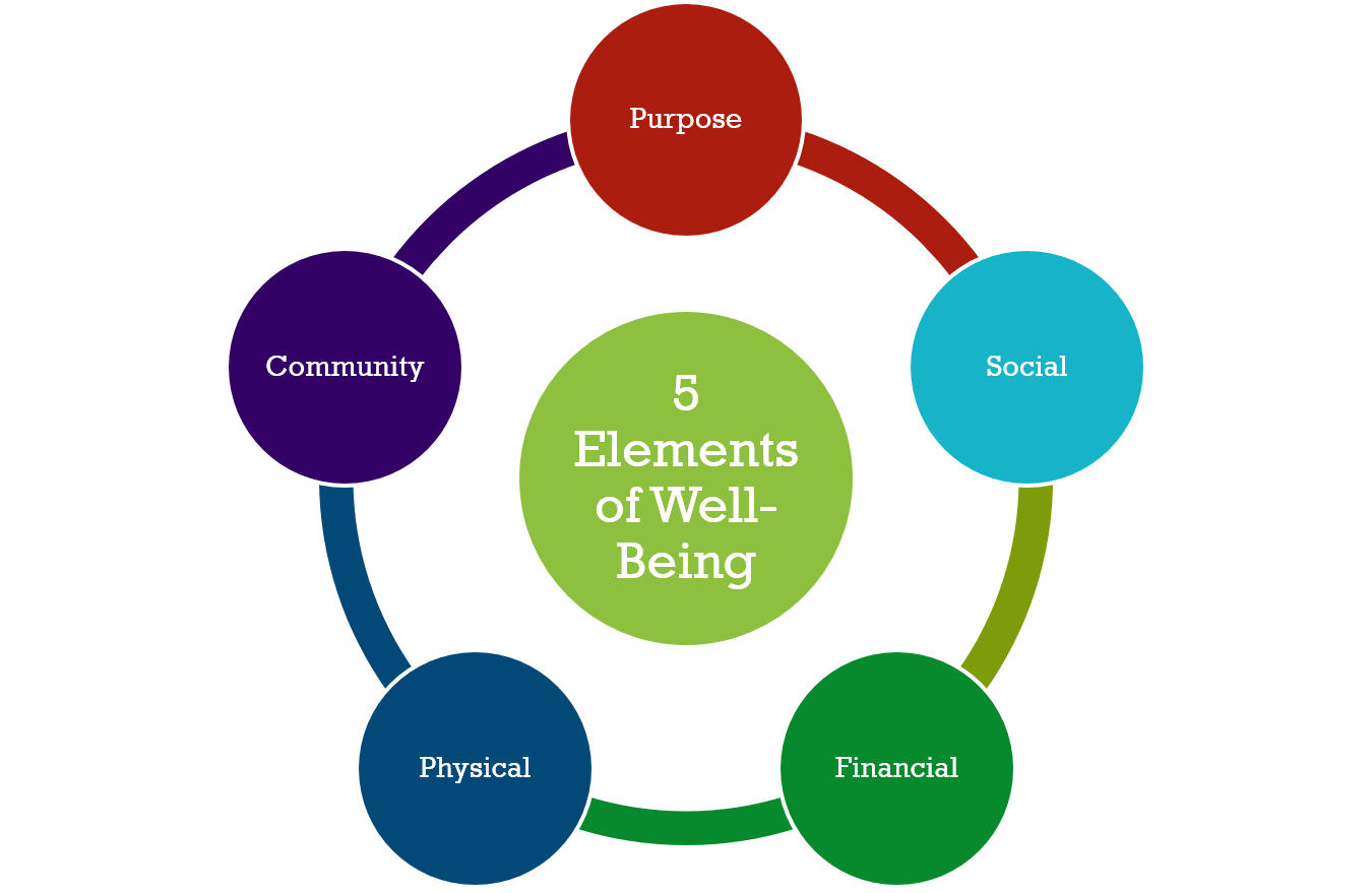 5 elements of wellbeing